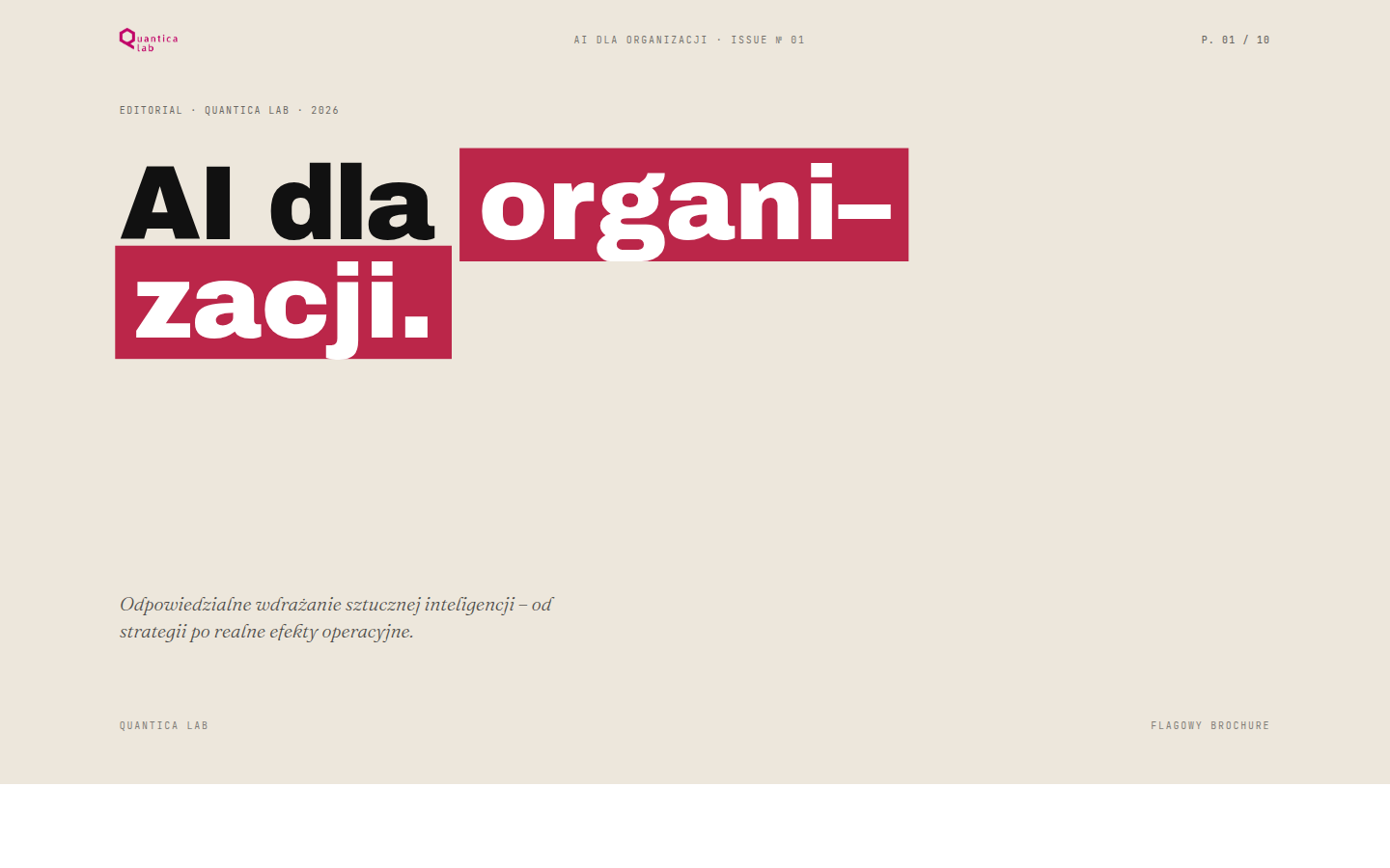 AI dla organizacji – okładka