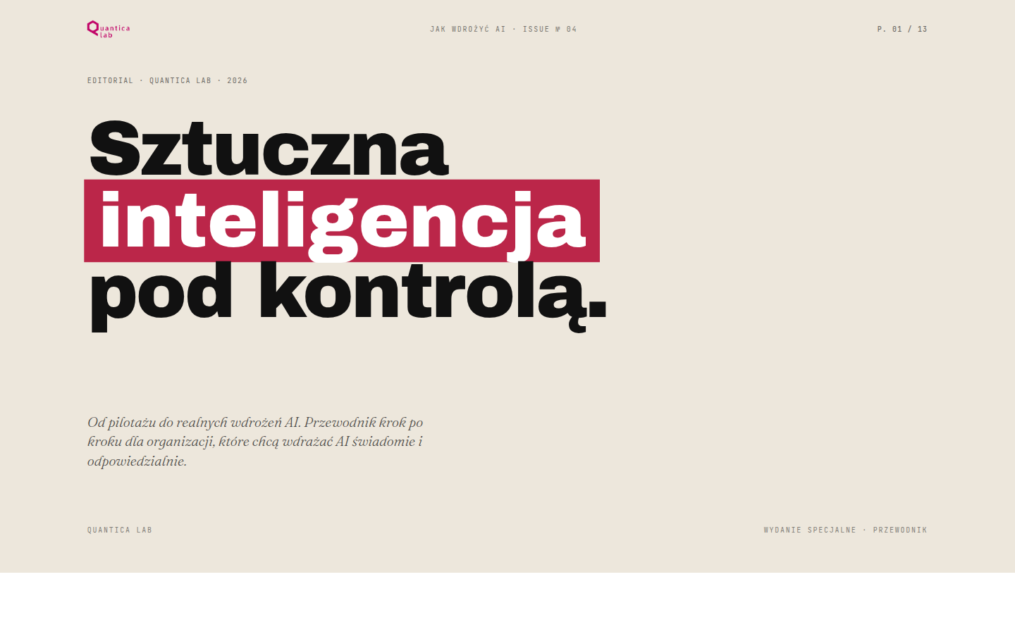 Jak wdrożyć AI w organizacji – okładka